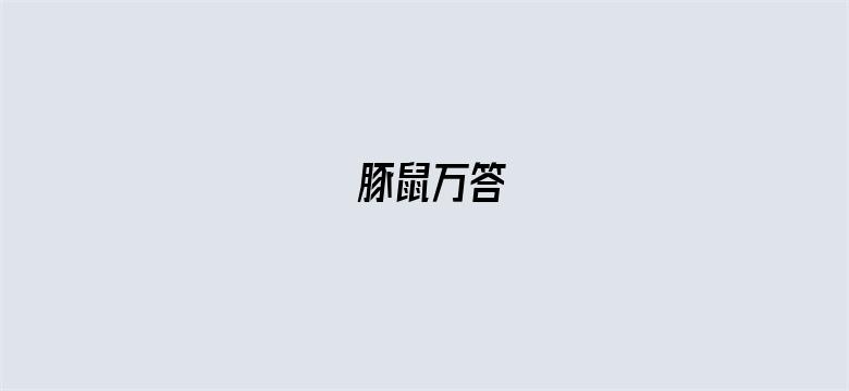 豚鼠万答